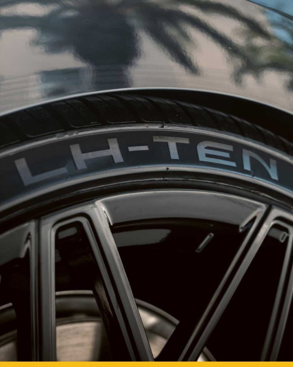Lionhart LH-TEN — manufacturer