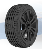 GOODYEAR EAGLE SPORT A/S tire