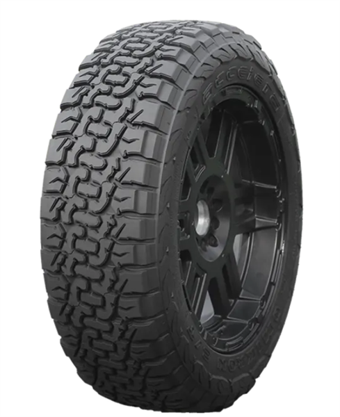 ACCELERA OMIKRON C/T AT WARRANTY tire
