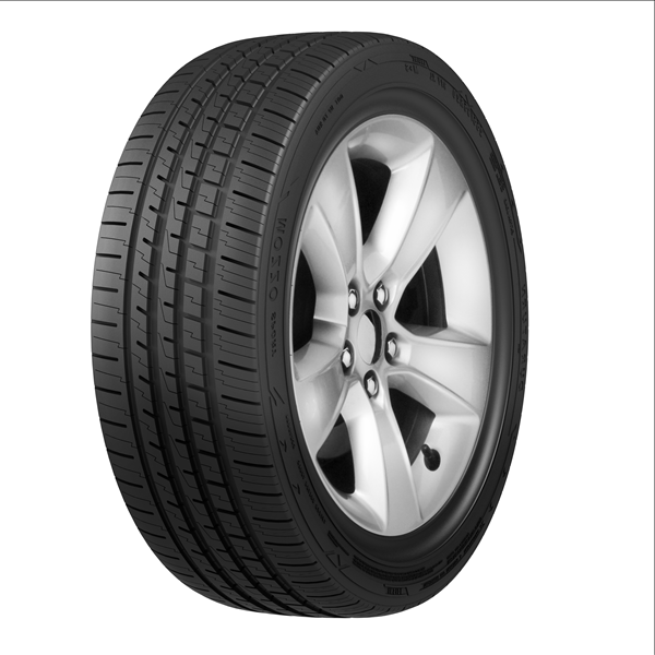 DURATURN MOZZO SPORT NW tire