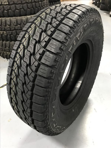 LEAO LION SPORT AT tire