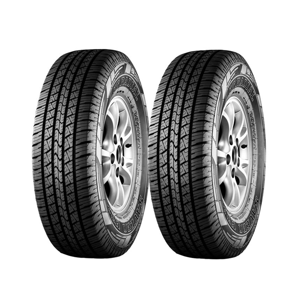 GT SAVERO HT tire