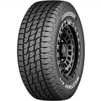 LANDSPIDER WILDTRAXX AT tire