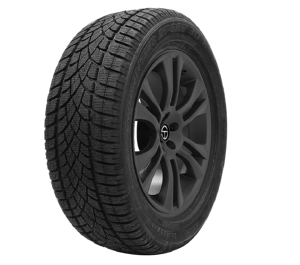 DUNLOP WINTER SPORT 3D tire