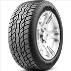 ROCKBLADE PACEFORCE AT tire