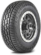 DELINTE DX10 AT tire