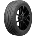 DELINTE DS2 tire