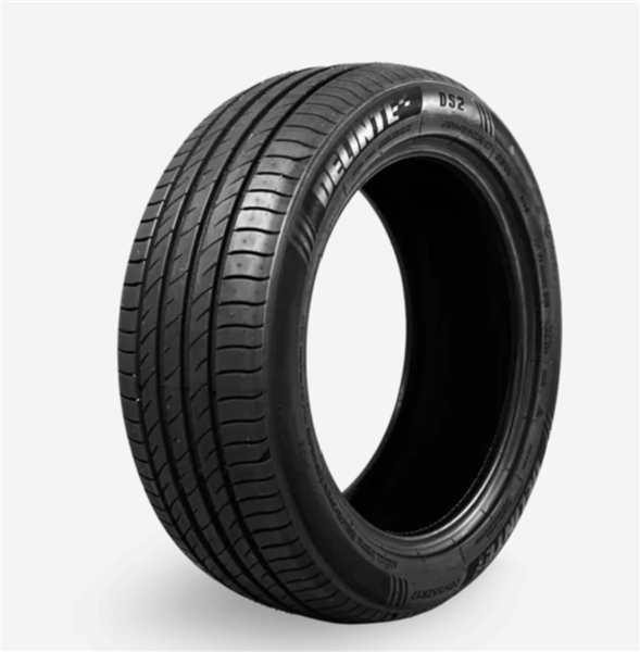 DELINTE DS2 tire