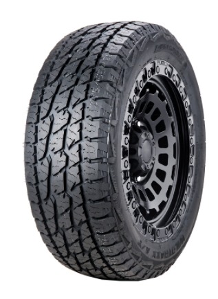 LANDSPIDER WILDTRAX AT tire