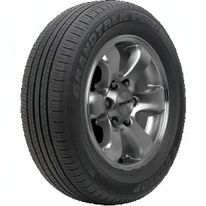 DUNLOP GRANDTREK PT30 tire