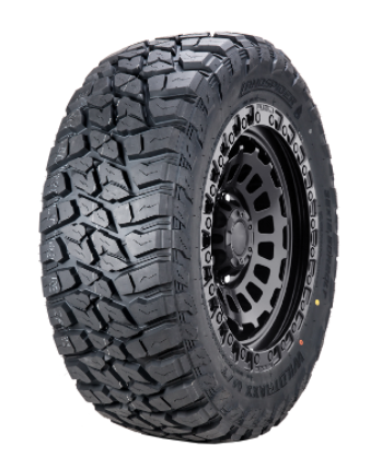 LANDSPIDER WILDTRAX MT tire