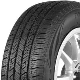 FORTUNE CLIMAFLEX 4S tire