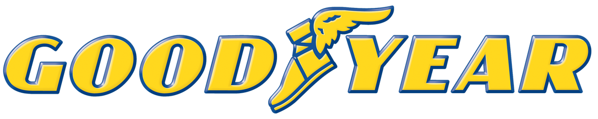 GOODYEAR WRANGLER BOULDER MT tire