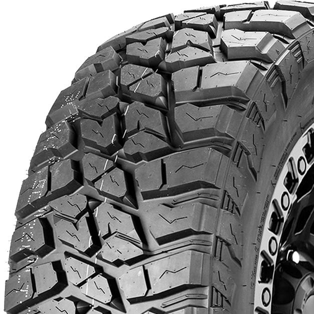 LANDSPIDER WILDTRAXX MT tire