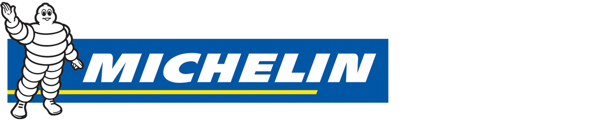 MICHELIN LAREDO AT tire