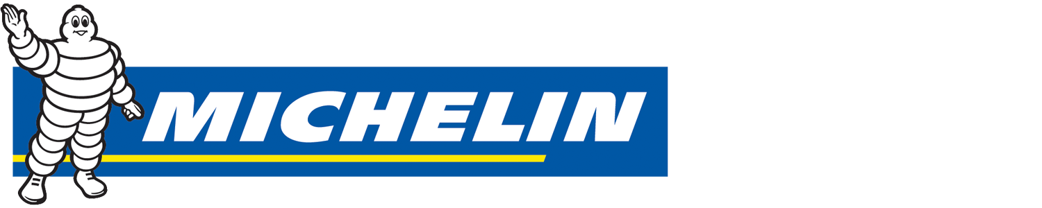 MICHELIN PRIMACY ENERGY tire