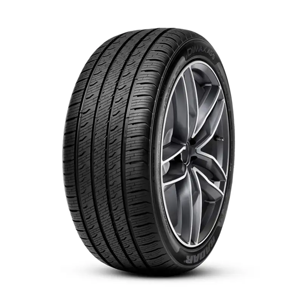 RADAR DIMAX AS-9 tire