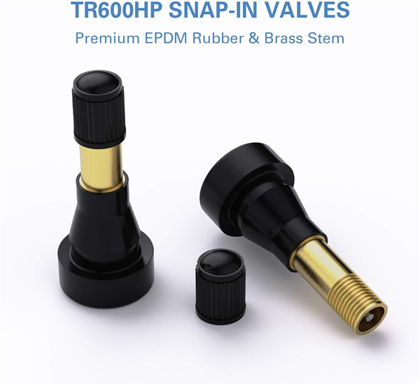 TR-600HP HIGH PRESSURE VALVE 1 1/4 " .453    MAX PSI 80  ***50 PER BAG***