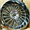 Hardcore HC1726126139CHR-44 Hc Chrome Legend