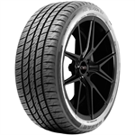Radar EV Black Wall All-Season Ultra High Performance UHP Street Sports Car Tire