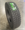Lanvigator DV302 Commercial Truck Semi Highway Tire