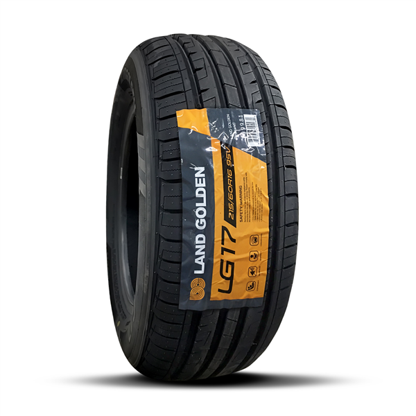 225-55ZR-16 LANDGOLDEN LG17 99W XL 10/28/23-10