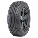 Travelstar UN66 Performance Street Tire