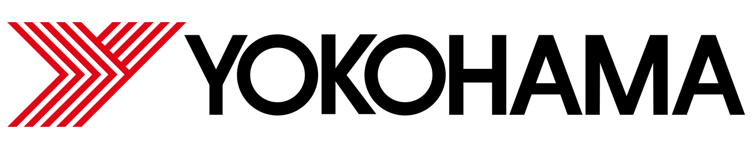 YOKOHAMA GEOLANDAR G031 tire