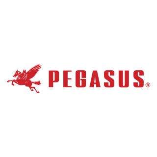 PEGASUS