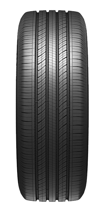 245/35R21 XL ION EVO AS