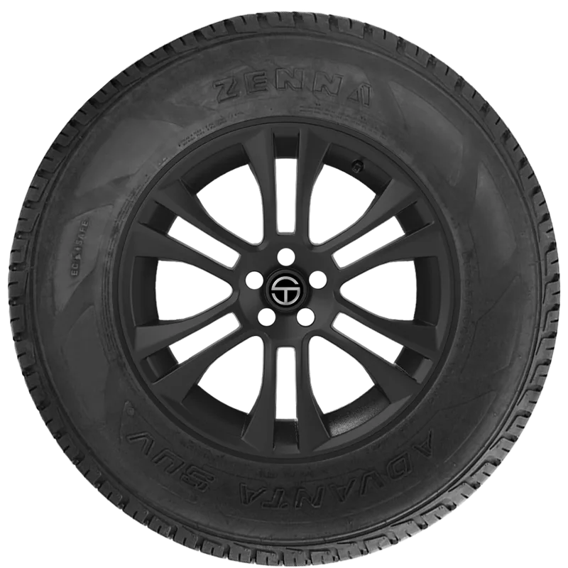 205-60R-16 Pegasus Tour A/S 92V***50K+ 1 Year Roadhazard Warranty-420Aa***