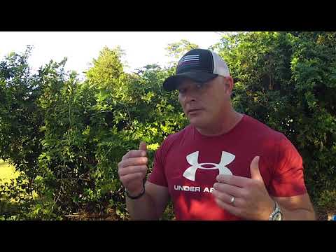 Gladiator X COMP M/T — owner video review
