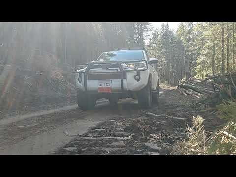 Cooper Evolution M/T — owner video review