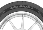 225/65R17 CELSIUS II